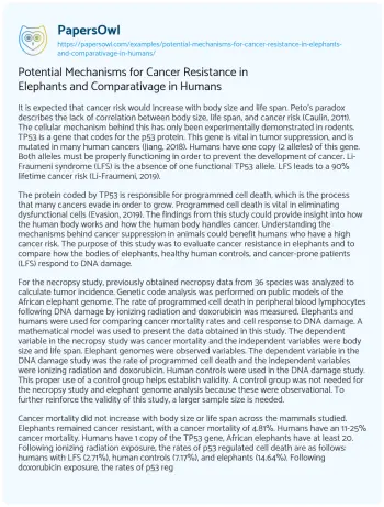 Essay on Potential Mechanisms for Cancer Resistance in Elephants and Comparativage in Humans