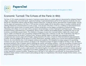 Essay on Economic Turmoil: the Echoes of the Panic in 1893