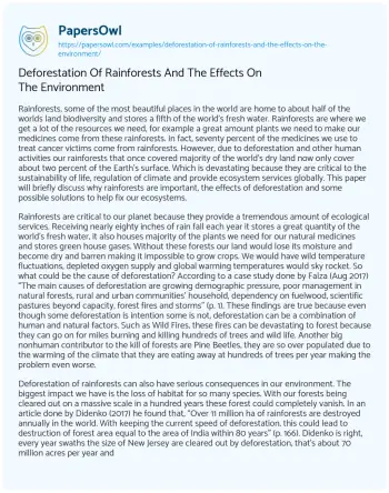 Essay on Deforestation of Rainforests and the Effects on the Environment