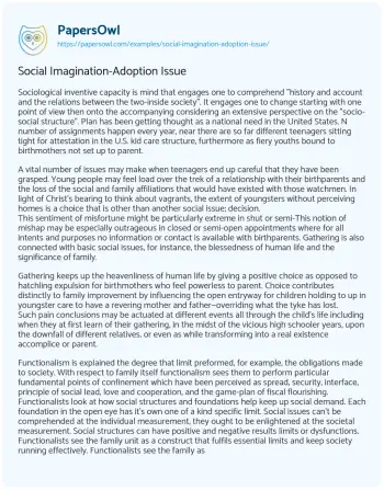 Essay on Social Imagination-Adoption Issue