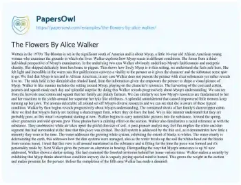 Essay on Innocence Lost: Exploring Racial Themes in Alice Walker’s the Flowers