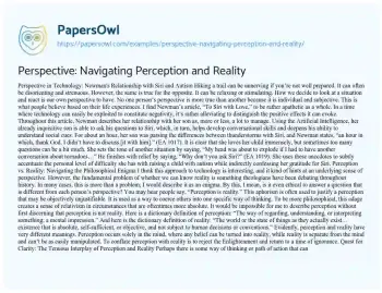 Essay on Perspective: Navigating Perception and Reality