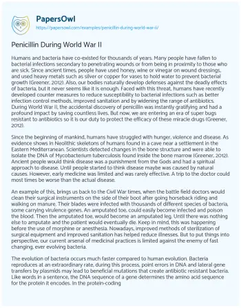 Essay on Penicillin during World War II