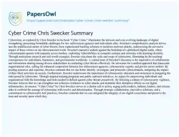 Essay on Cyber Crime Chris Swecker Summary