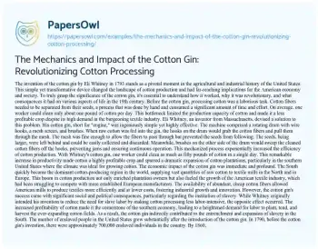 Essay on The Mechanics and Impact of the Cotton Gin: Revolutionizing Cotton Processing