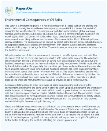 Essay on Environmental Consequences of Oil Spills