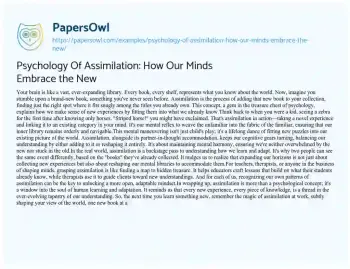 Essay on Psychology of Assimilation: how our Minds Embrace the New