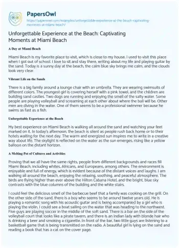 Essay on A Day at Miami Beach: a Journey of Reflection and Diversity