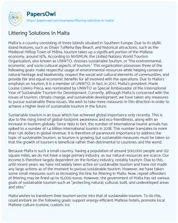 Essay on Littering Solutions in Malta