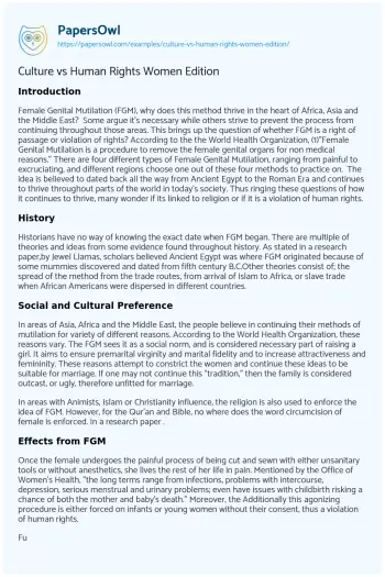 Essay on Culture Vs Human Rights Women Edition