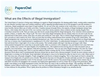 Essay on What are the Effects of Illegal Immigration?