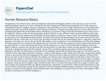 Essay on Human Resource Basics