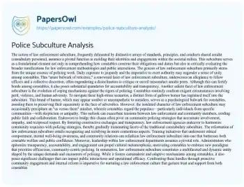 Essay on Police Subculture Analysis