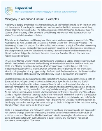 Essay on Misogyny in American Culture – Examples