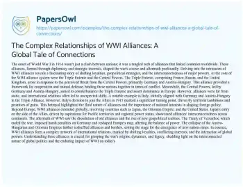 Essay on The Complex Relationships of WWI Alliances: a Global Tale of Connections