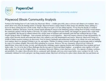 Essay on Maywood Illinois Community Analysis