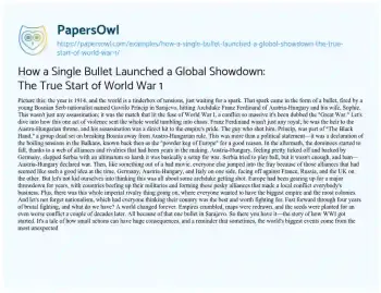 Essay on How a Single Bullet Launched a Global Showdown: the True Start of World War 1