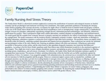 Essay on Family Nursing and Stress Theory