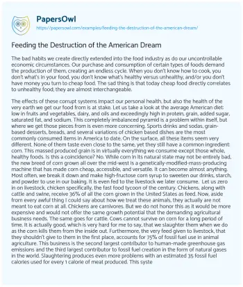 Essay on Feeding the Destruction of the American Dream