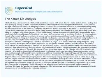 Essay on The Karate Kid Analysis