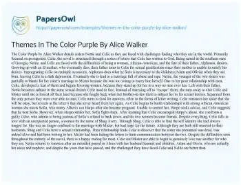 Essay on Themes in the Color Purple by Alice Walker