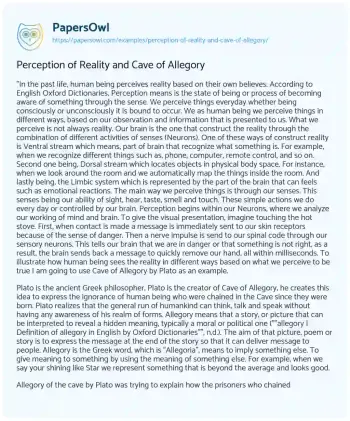 Essay on Perception of Reality and Cave of Allegory