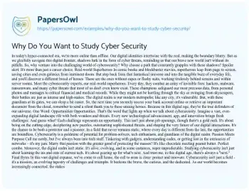 Essay on Why do you Want to Study Cyber Security