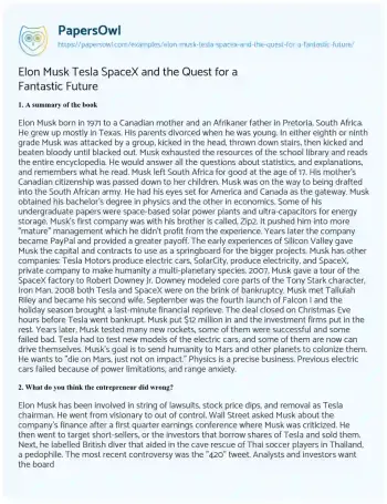 Essay on Elon Musk Tesla SpaceX and the Quest for a Fantastic Future