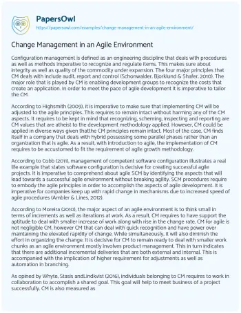 Essay on Change Management in an Agile Environment