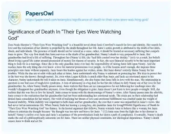 Essay on Significance of Death in “Their Eyes were Watching God”