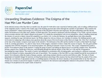 Essay on Unraveling Shadows Evidence: the Enigma of the Hae Min Lee Murder Case