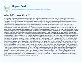 Essay on What is Photosynthesis?