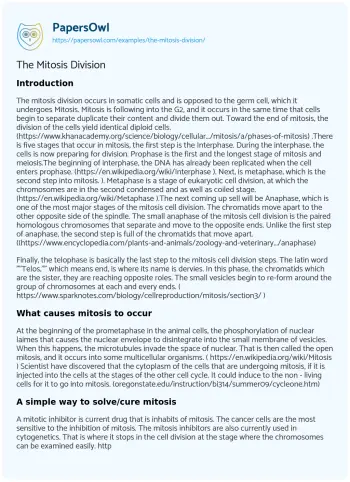 Essay on The Mitosis Division