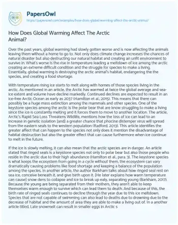 Essay on How does Global Warming Affect the Arctic Animal?