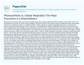 Essay on Photosynthesis Vs. Cellular Respiration the Major Processess in a Global Balance