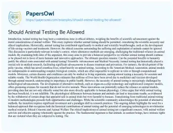 Essay on Should Animal Testing be Allowed