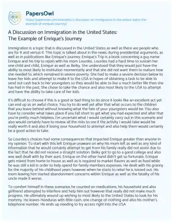 Essay on A Discussion on Immigration in the United States: the Example of Enrique’s Journey