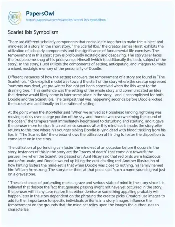 Essay on Scarlet Ibis Symbolism