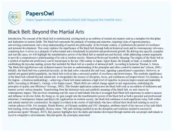 Essay on Black Belt: Beyond the Martial Arts