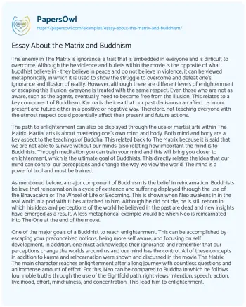 Essay on Essay about the Matrix and Buddhism