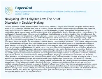 Essay on Navigating Life’s Labyrinth Law: the Art of Discretion in Decision-Making