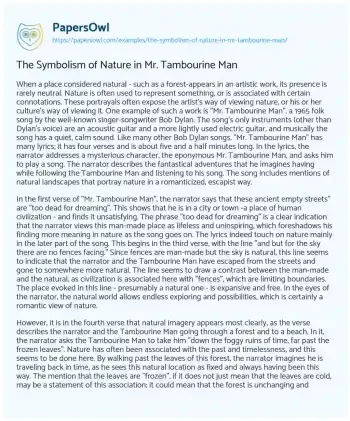 Essay on The Symbolism of Nature in Mr. Tambourine Man