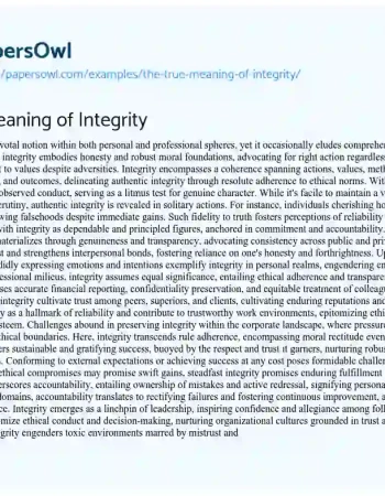 Essay on The True Meaning of Integrity