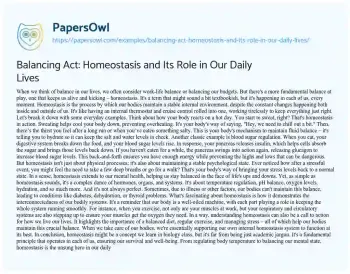 Essay on Balancing Act: Homeostasis and its Role in our Daily Lives