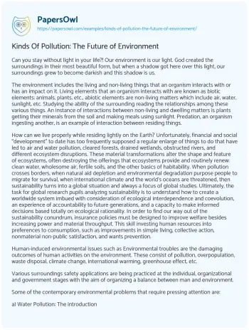 Essay on Kinds of Pollution: the Future of Environment