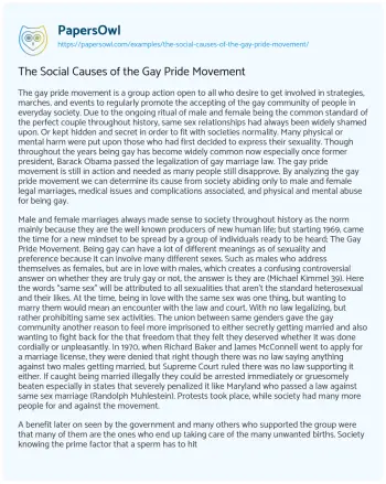 Essay on The Social Causes of the Gay Pride Movement