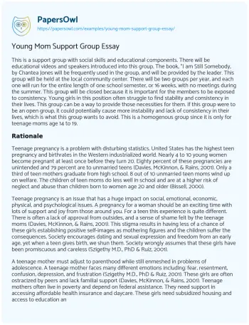 Essay on Young Mom Support Group Essay