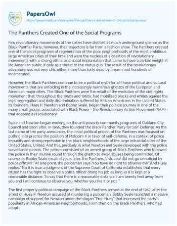 Essay on The Panthers Created One of the Social Programs