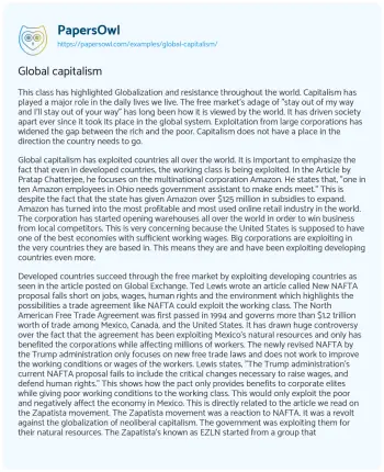 Essay on Global Capitalism