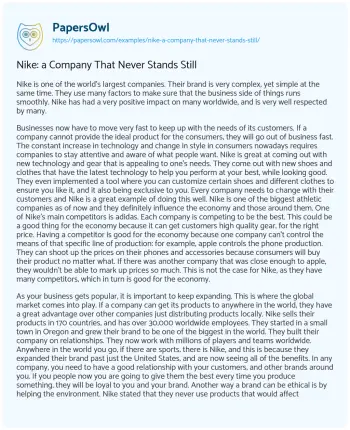 Essay on Nike: a Company that Never Stands Still